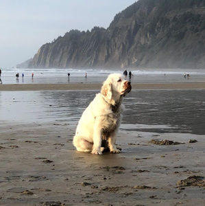 Meet your Posher, Astrid